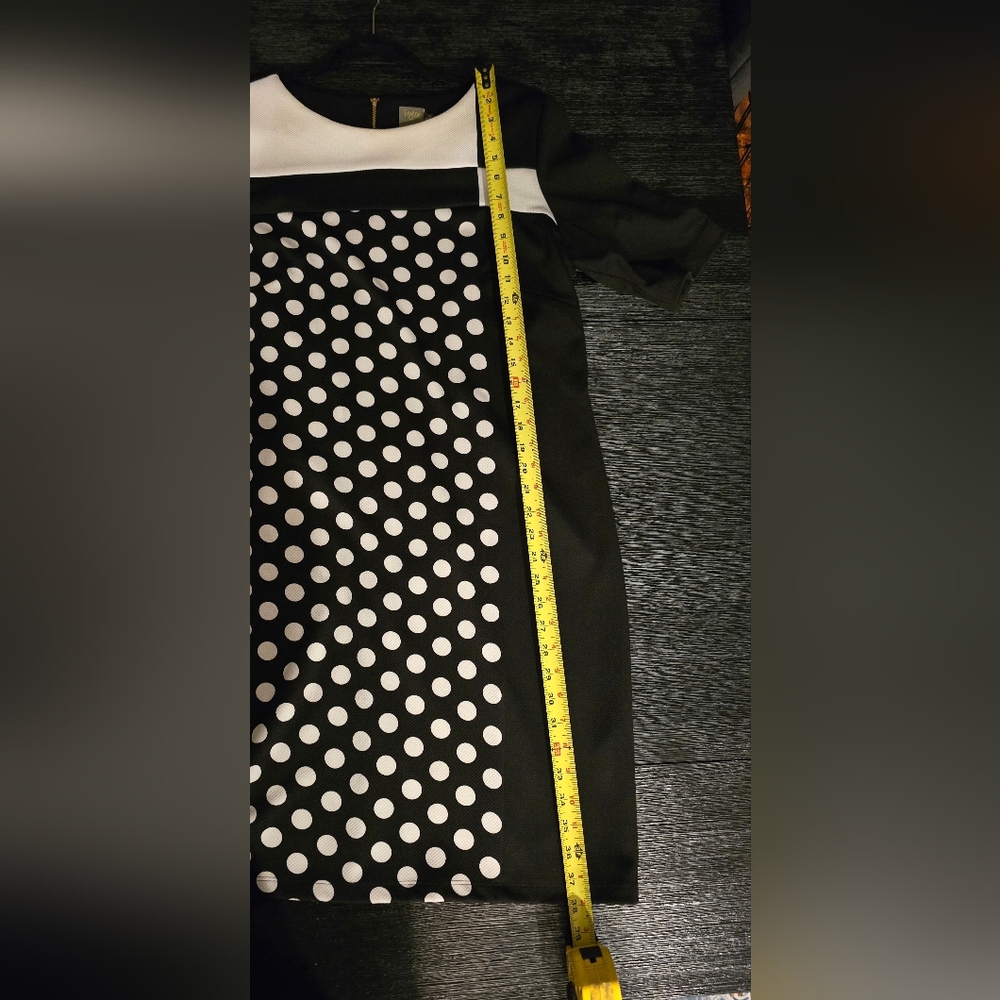 Taylor A-line Dress - Picture 5 of 12